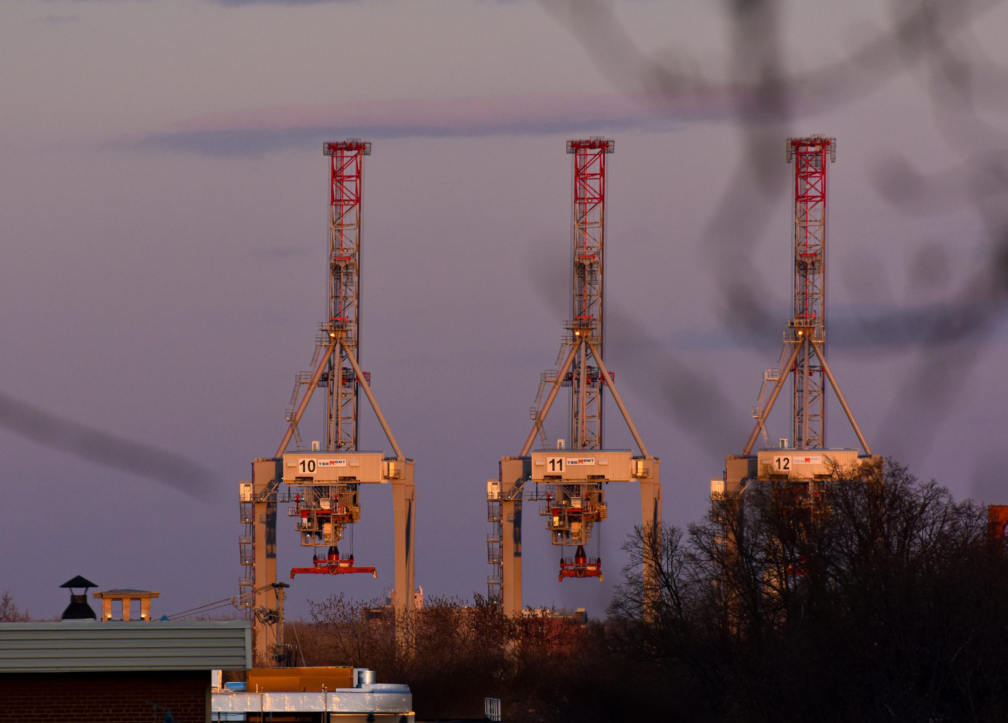 Cranes Ten, Eleven, Twelve