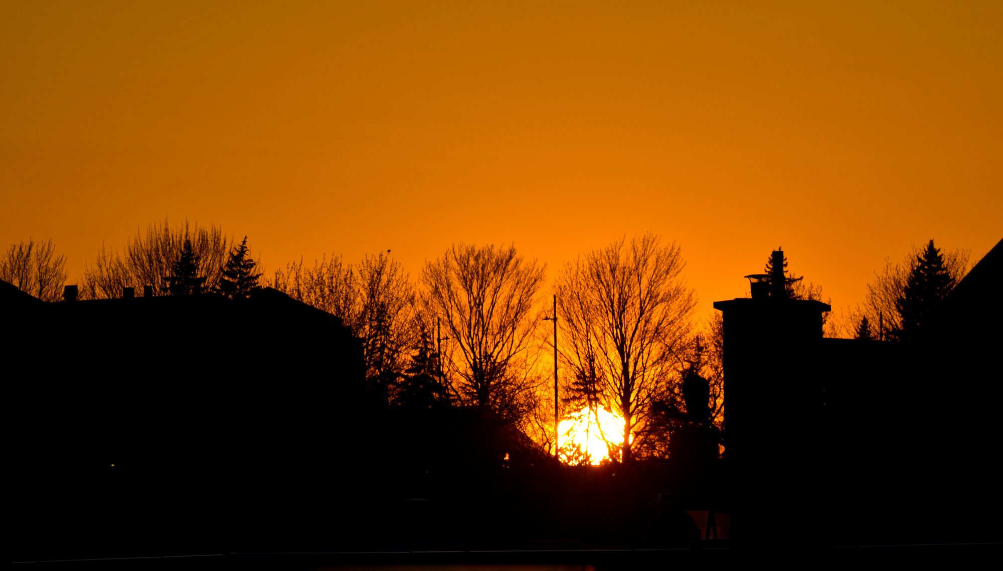 Suburban Sunset