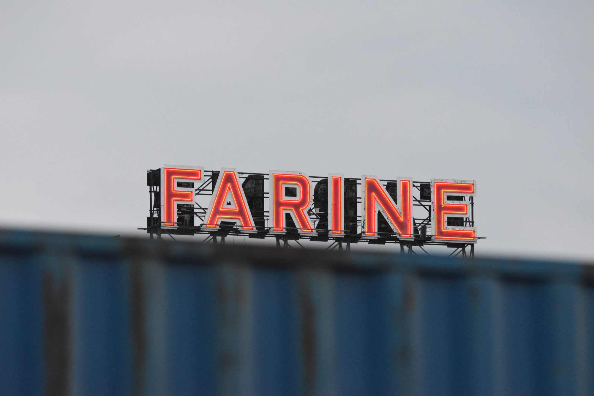 Farine in Neon