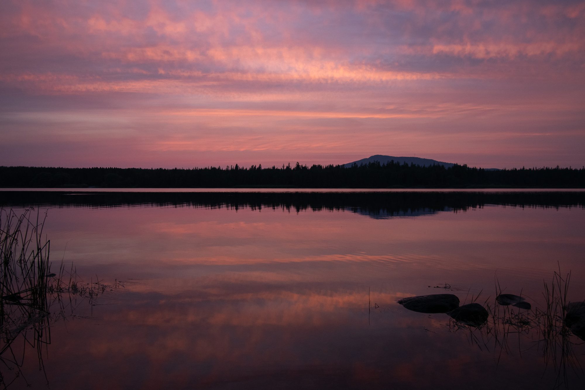 Pink Sky Over the Lake