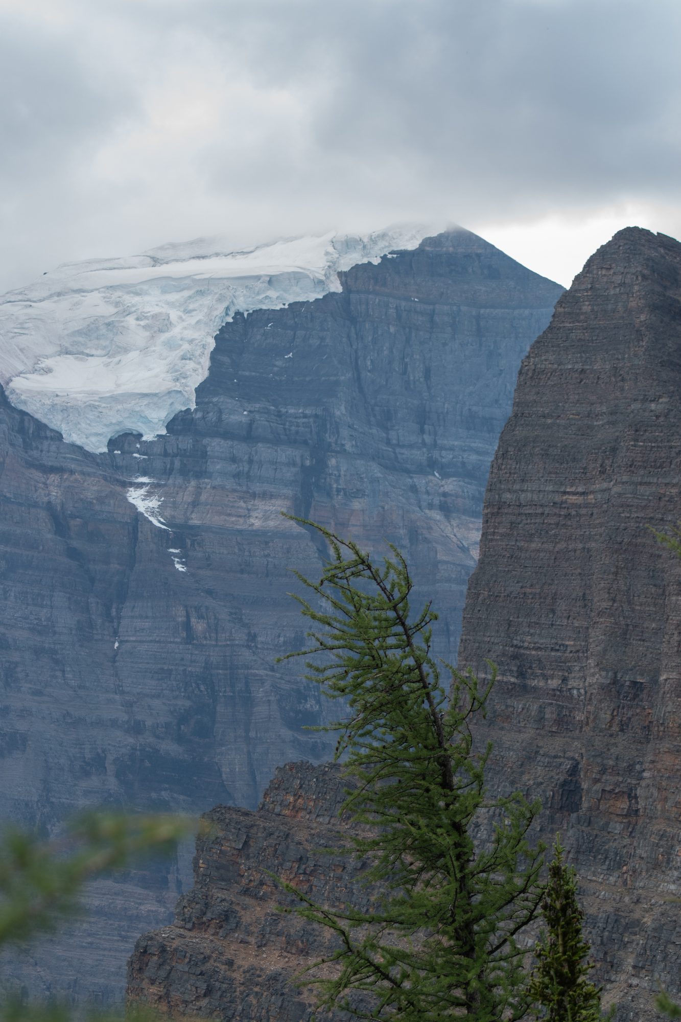 Larch and Hanging Glacier