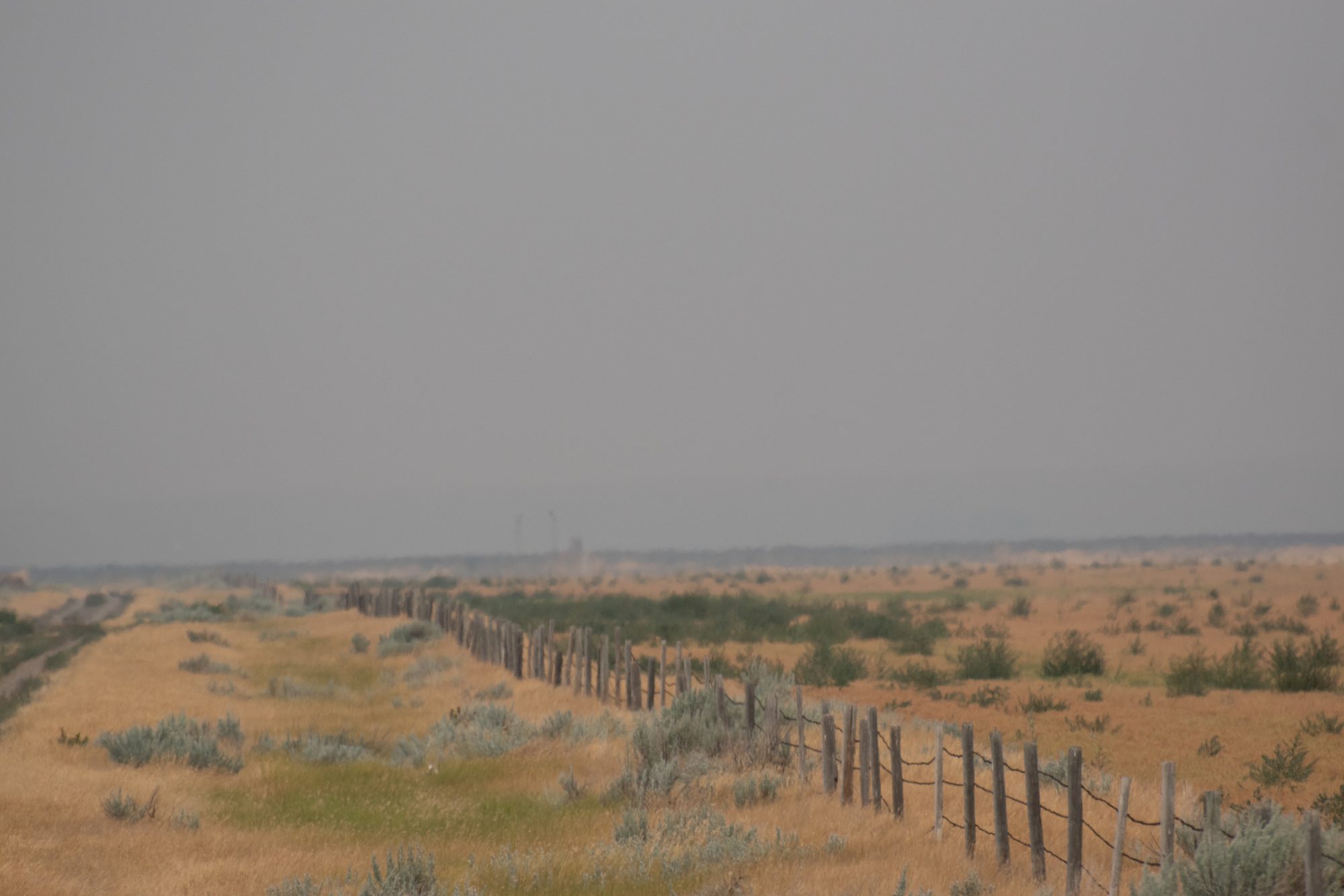 Fence Line Through the Haze