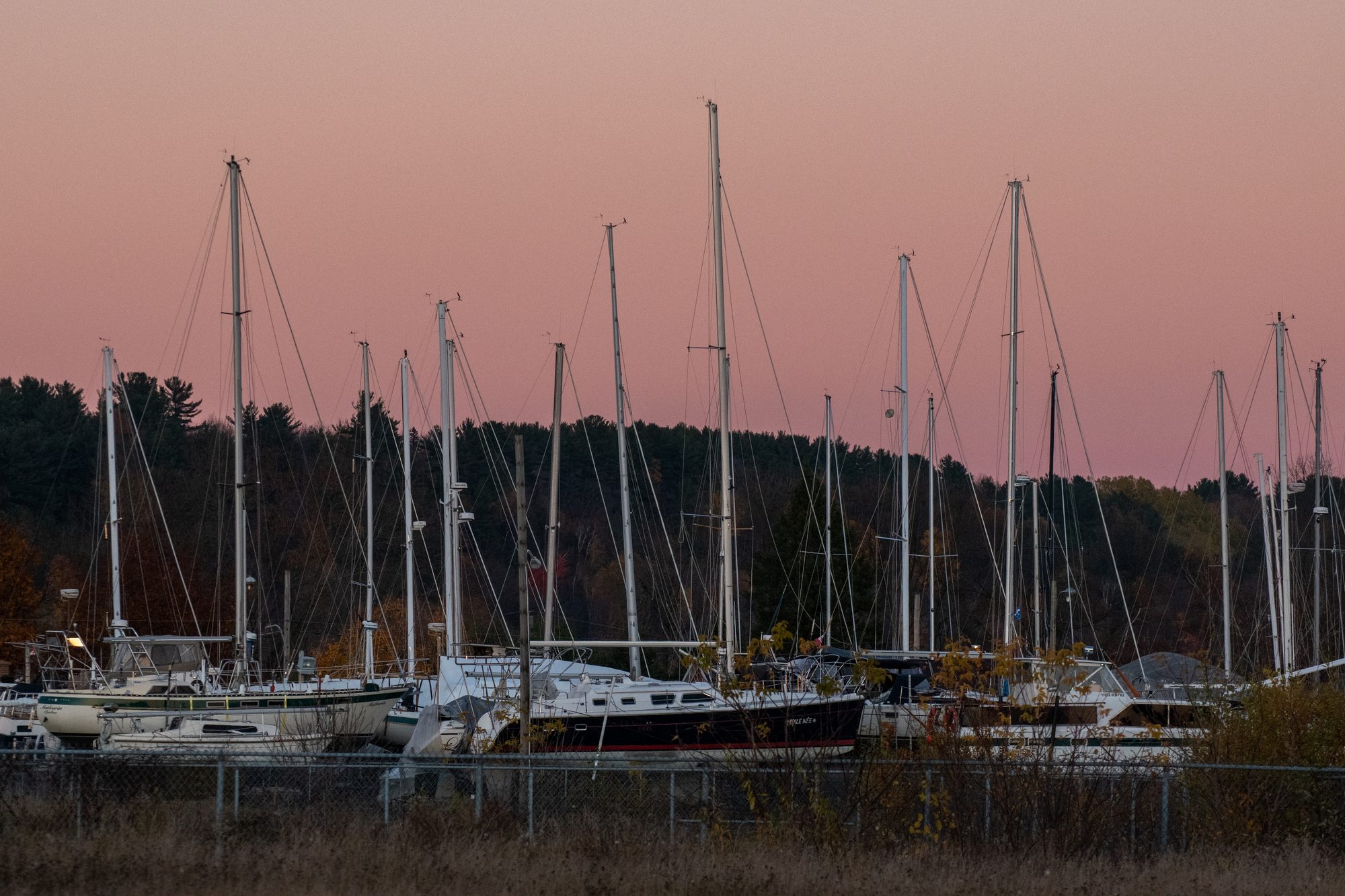 Marina at Dusk