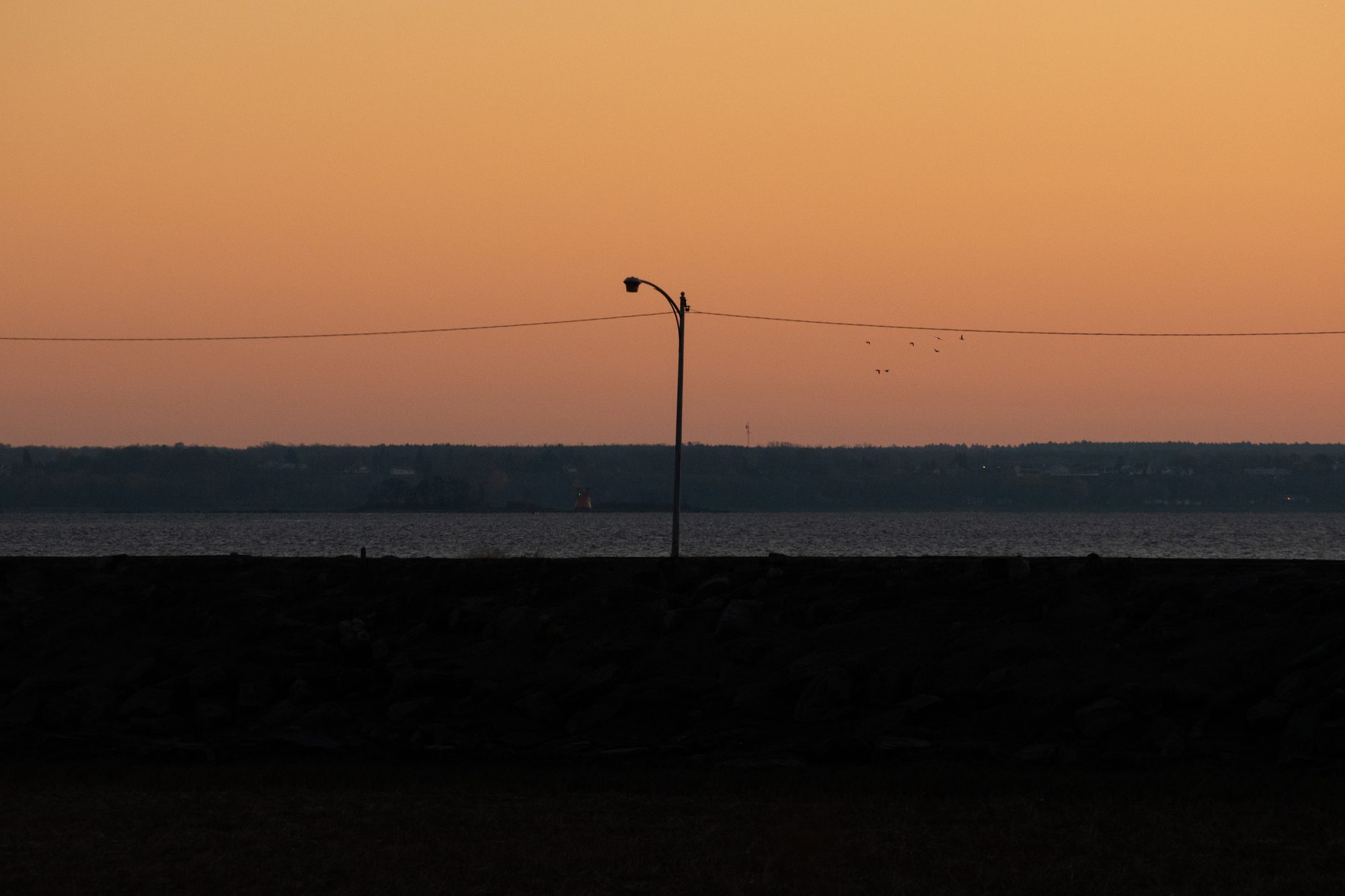 Streetlight at Sunset