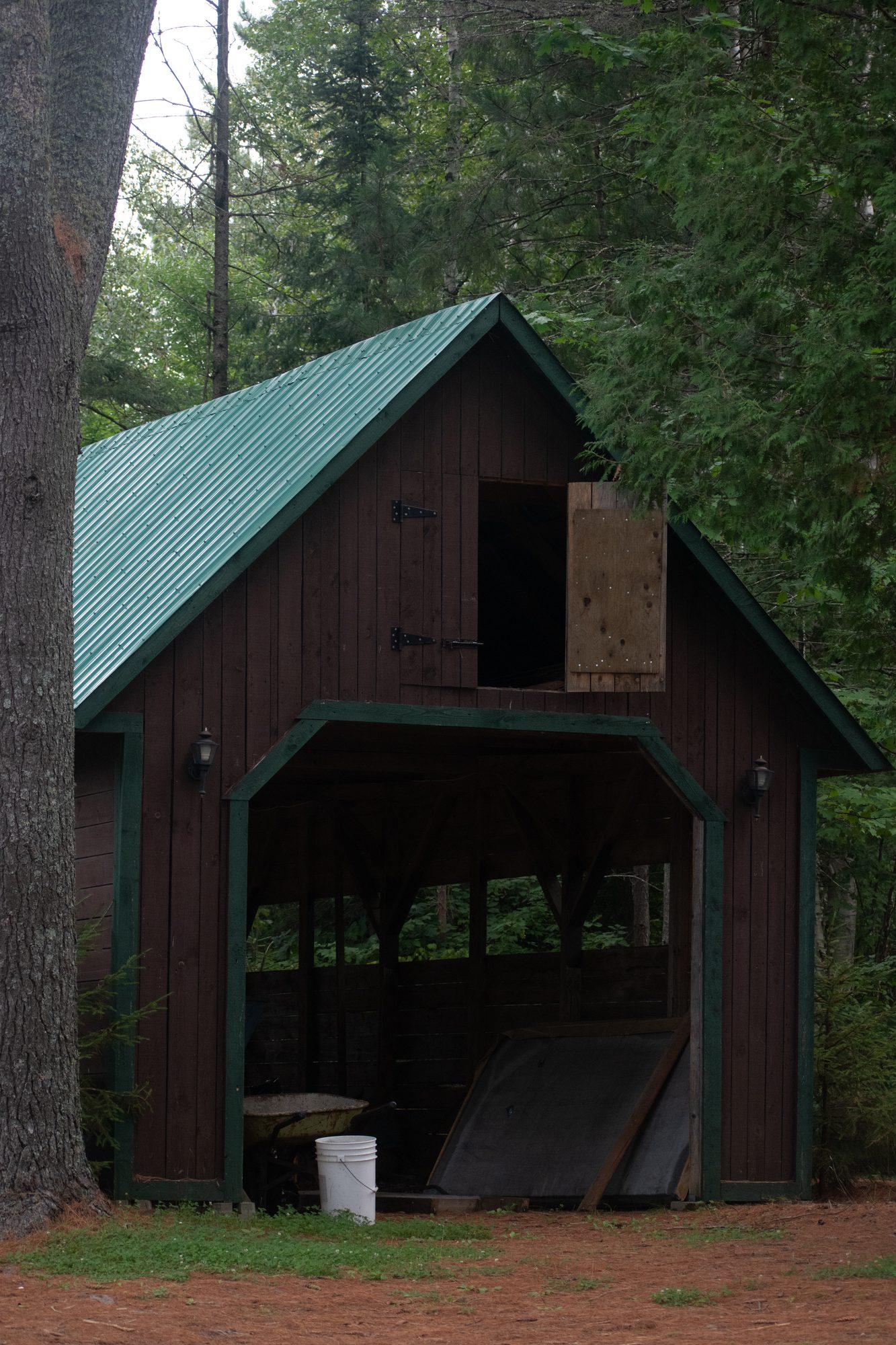 Barn in the Pines