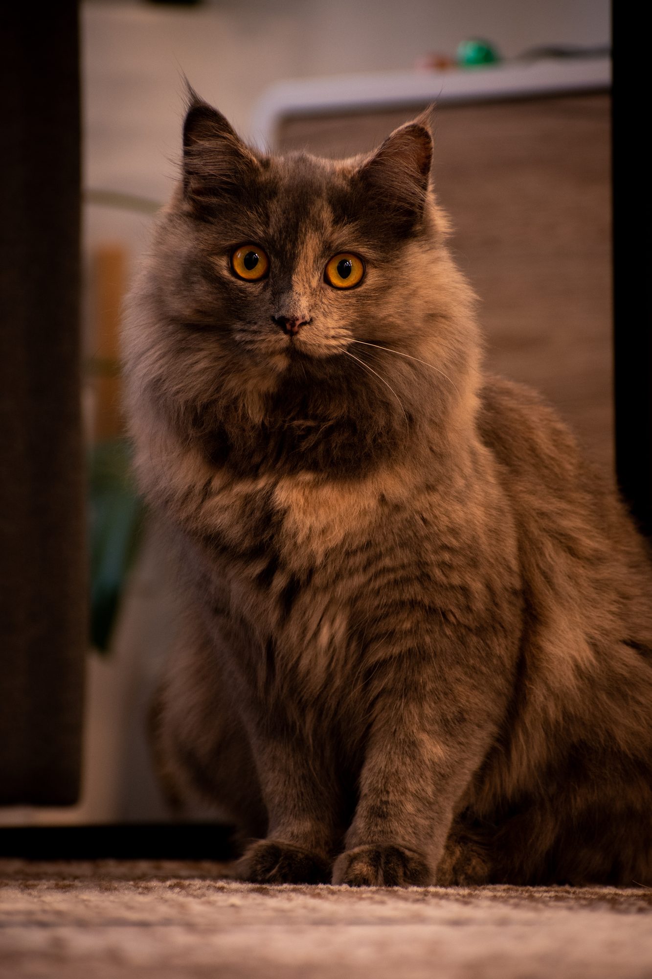 Esmée Sits Pretty