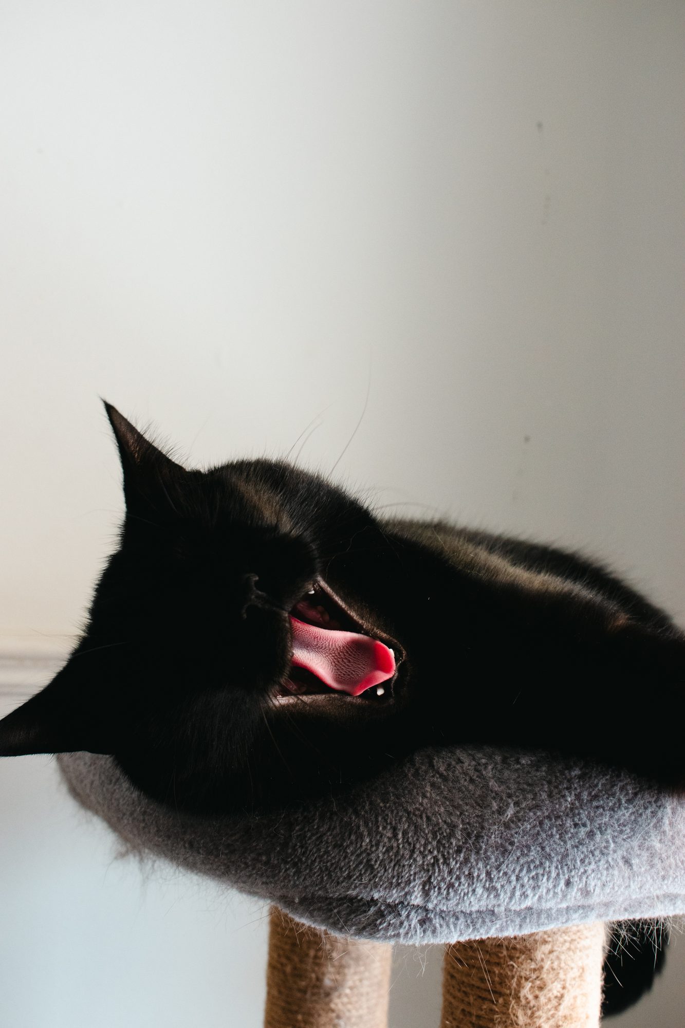 Big Yawn