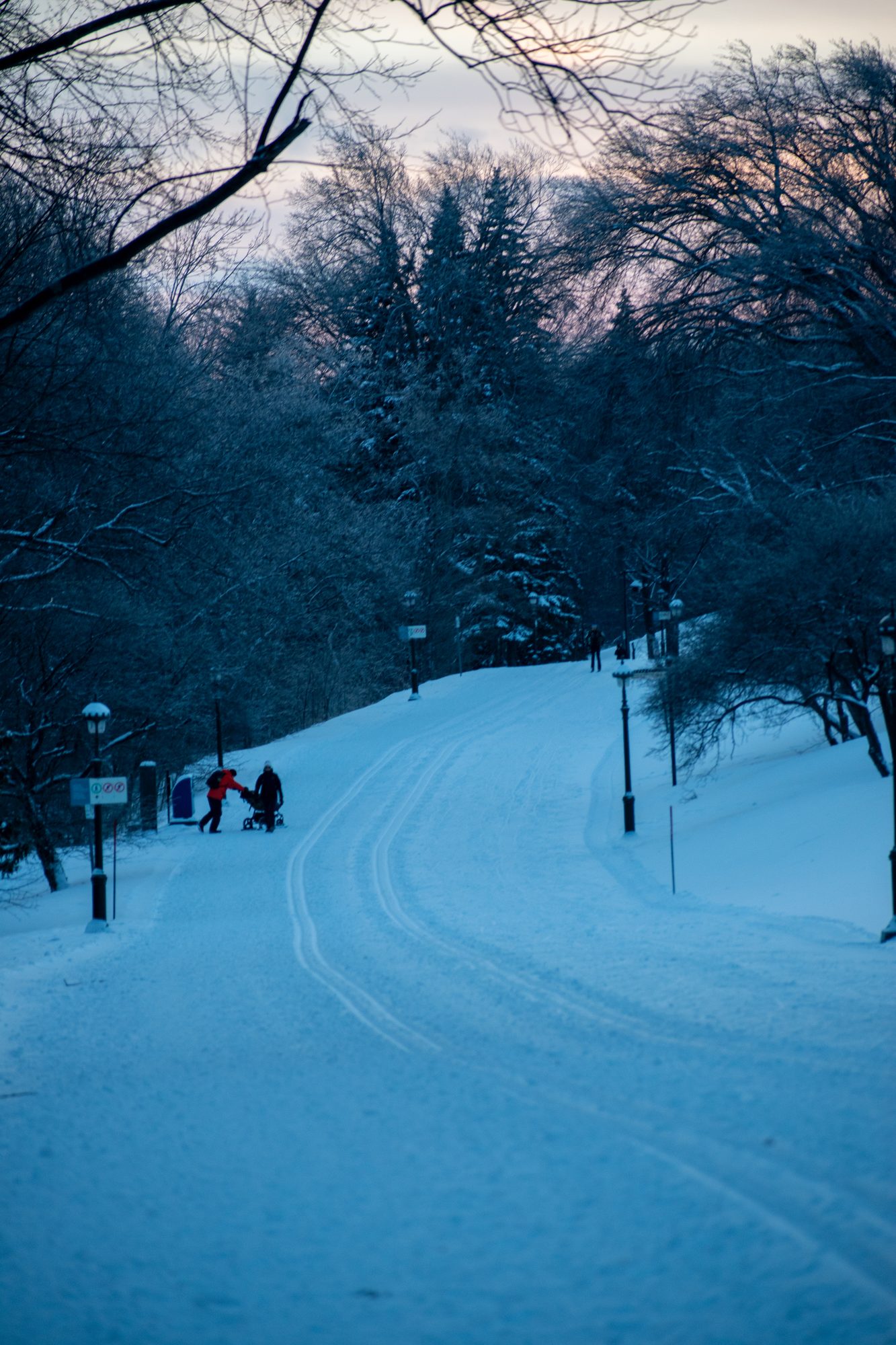 Winter Path at Dusk